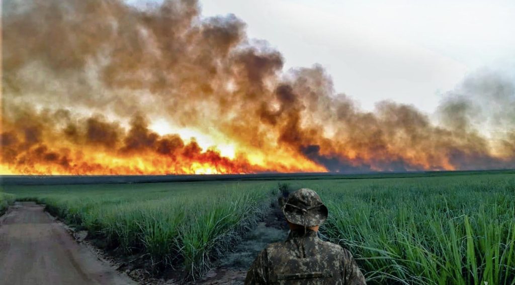 policia-militar-ambiental-intensifica-fiscalizacao-contra-queimadas-em-todo-o-estado-de-sp